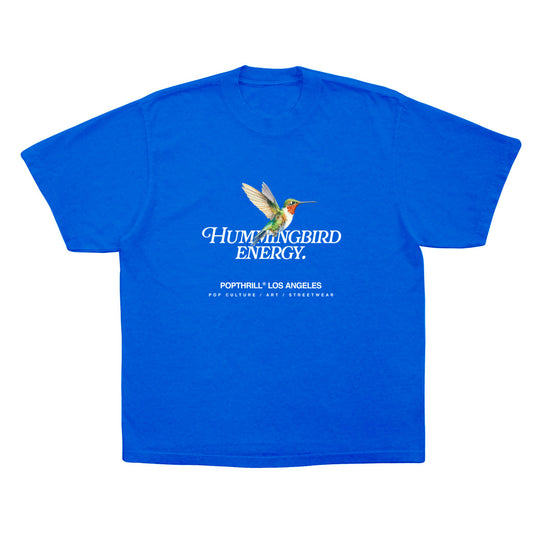 Hummingbird t-shirt. Loose fit streetwear tee.